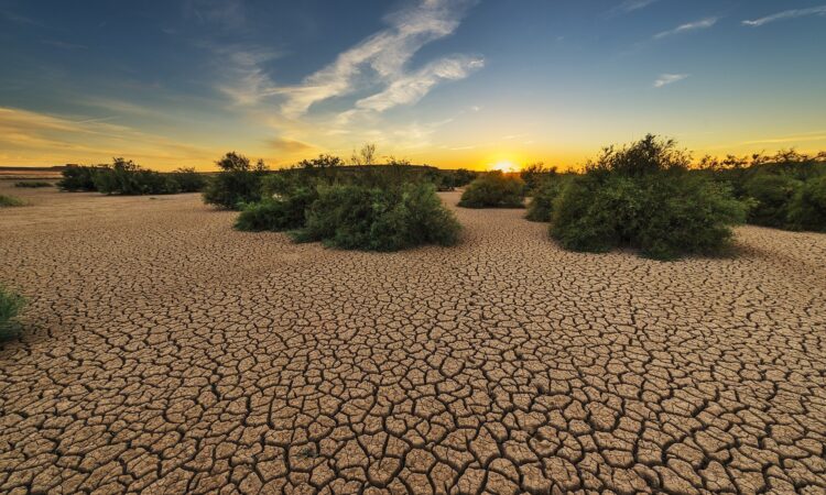 Πώς η ξηρασία στην Καλιφόρνια ίσως έλυσε ένα μυστήριο 56 ετών